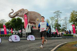 BIB: 
                            <button type="button" onclick="openModal(26529084)" class="btn btn-primary btn-sm float-right btn-popup" data-toggle="modal" data-target=".modal-high-quality">
                        <i class="fas fa-shopping-cart"></i> Add to Cart
                    </button>
                                            <button type="button" onclick="isThisMe(26529084, true)" class="btn btn-success btn-sm float-right btn-popup btn-isme hidden" data-toggle="tooltip" data-placement="bottom" title="นี่คือรูปของคุณใช่ไหม คลิกที่นี่เพื่อเอาเข้าอัลบั้ม">
                        <i class="fas fa-plus"></i> Add to album
                    </button>
                    <button type="button" onclick="isThisMe(26529084, false)" class="btn btn-warning btn-sm float-right btn-popup btn-isnotme hidden">
                        <i class="fas fa-ban"></i> Remove from album
                    </button>